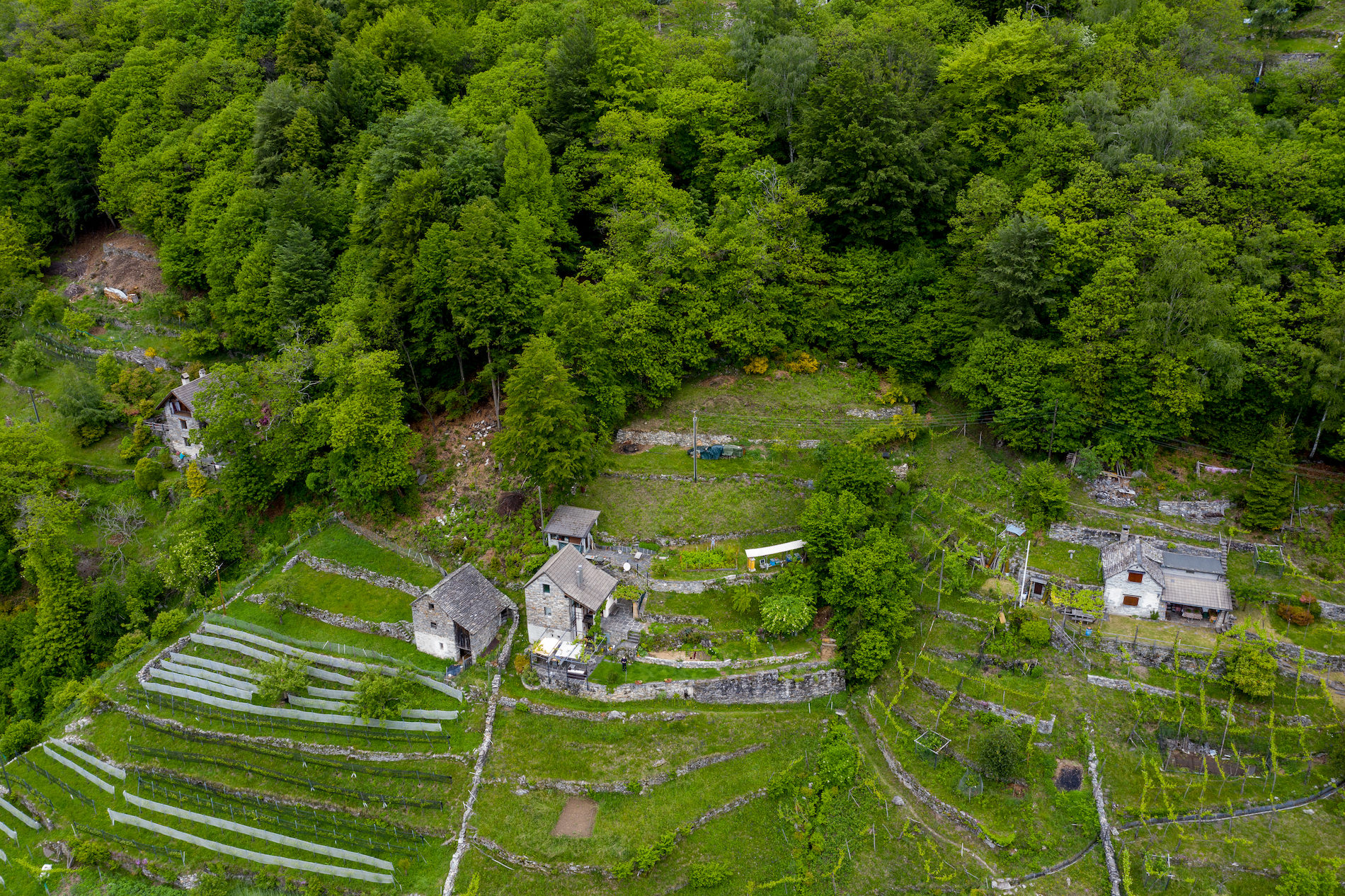Veduta del luogo di produzione a Mergoscia immerso nel verde